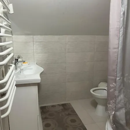 Apartment Mansarda Aparts